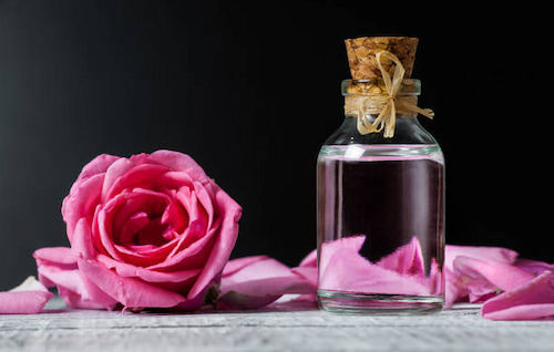 گلاب خوش عطر با رایحه طبیعی گلبرگ های تازه